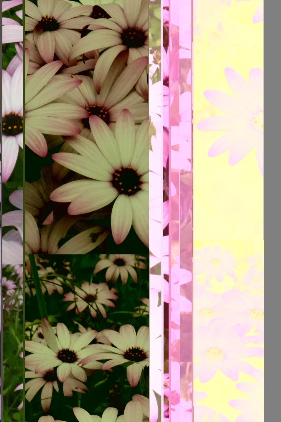 Photos Corrompues — corrupted.jpg